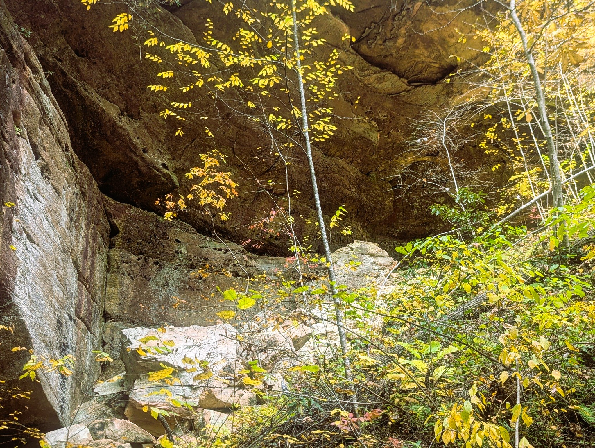 Red River Gorge