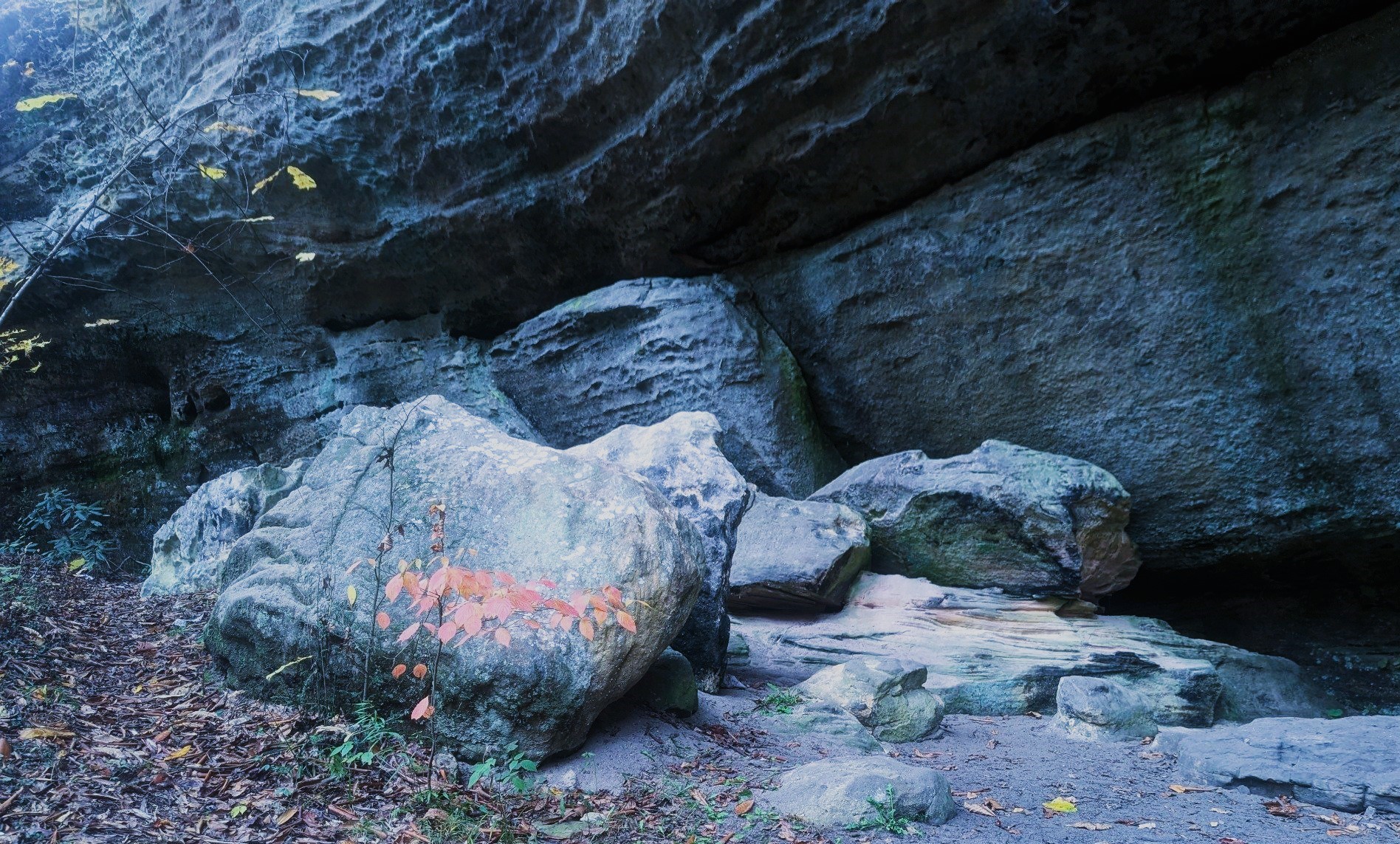Red River Gorge