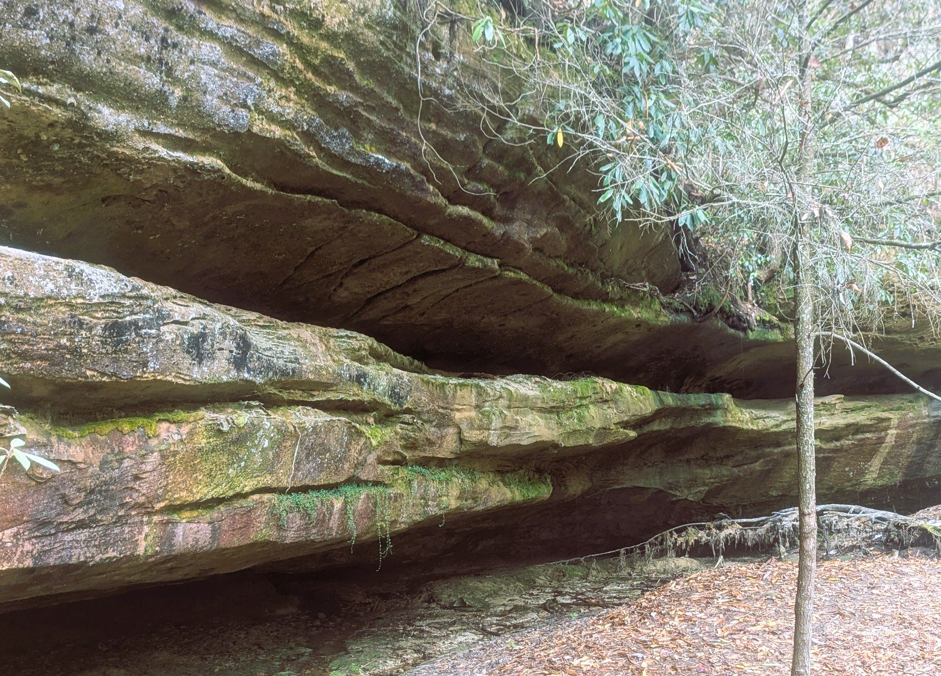 Red River Gorge