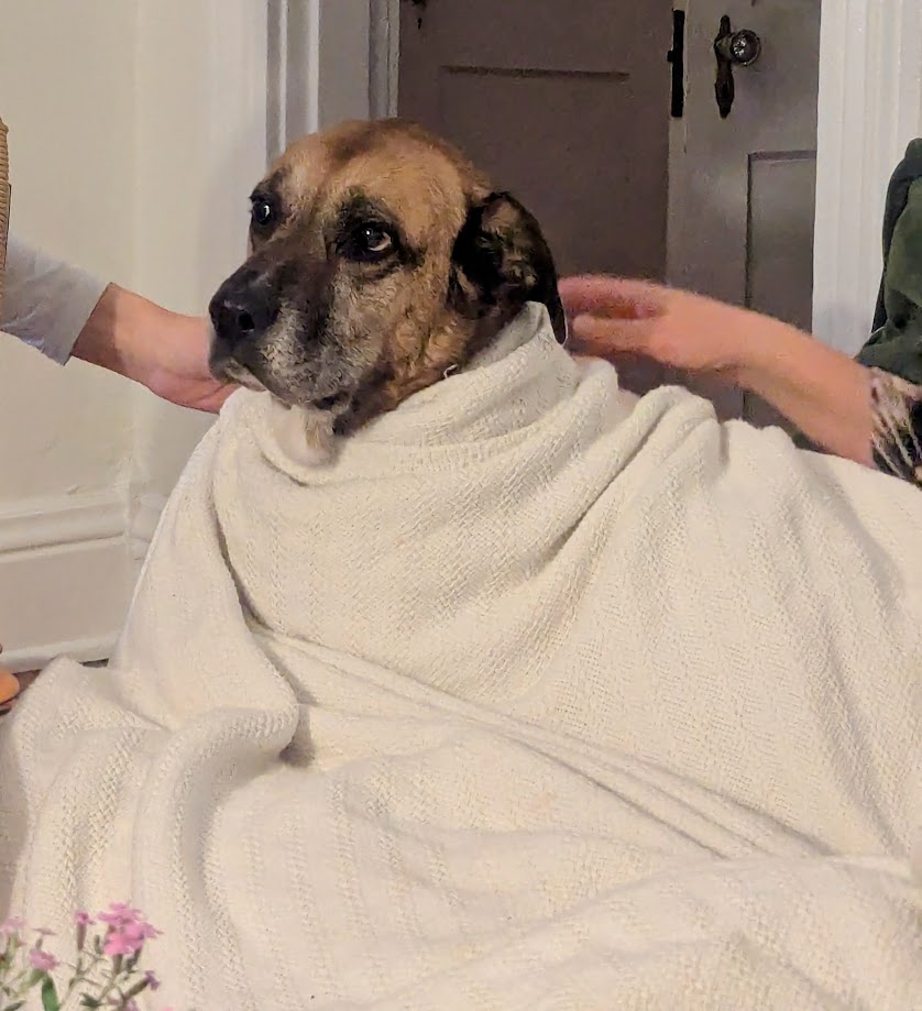 Nathaniel Deaton working